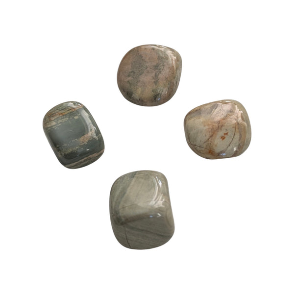 Silver Leaf Jasper (Light) Crystal  Tumblestone - Stone of Wisdom - Stability, Balance & Courage