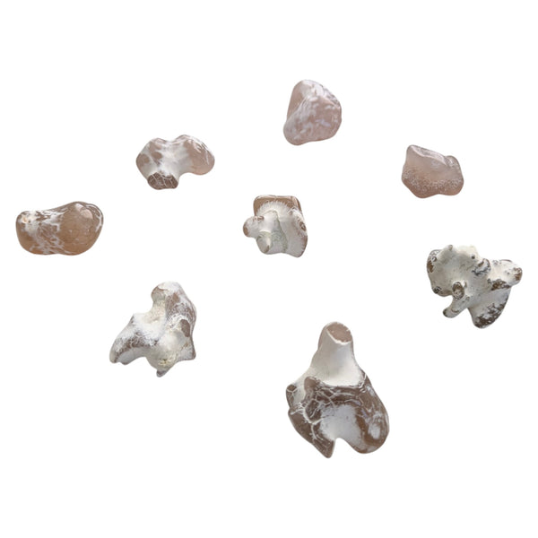 Snakeskin Agate Crystal Tumblestone - Courage, Strength & Determination - A Gemstone for Scorpio