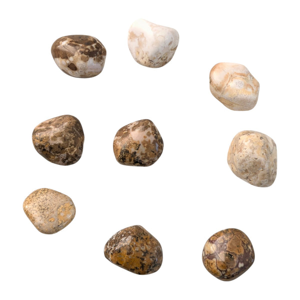 Spotted Agate Crystal Tumblestone - Confidence Booster - Root Chakra Stone - Genuine Gemstones - UK Crystal Seller