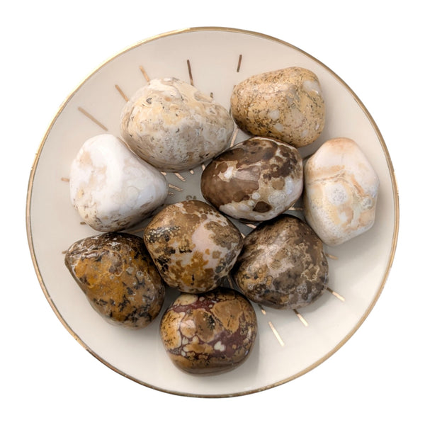 Spotted Agate Crystal Tumblestone - Confidence Booster - Root Chakra Stone - Genuine Gemstones - UK Crystal Seller
