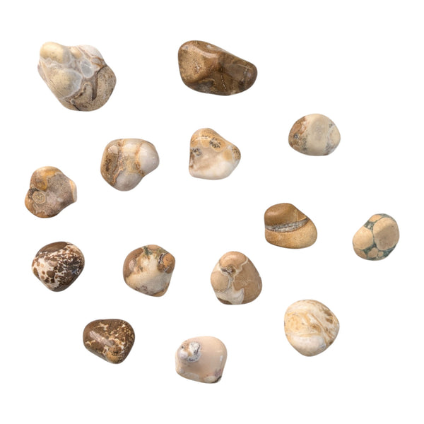 Spotted Agate Crystal Tumblestone - Confidence Booster - Root Chakra Stone - Genuine Gemstones - UK Crystal Seller