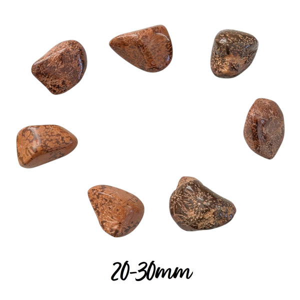 Starry Jasper Crystal Tumblestone - Protective Nurturing Gemstone - 7 Chakra Stone