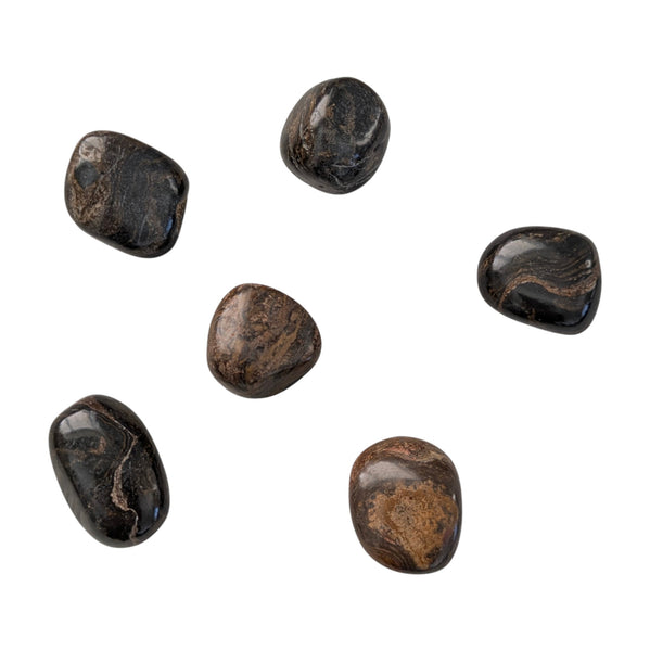 Stromatolite Crystal Tumblestone - Stone of Transformation - New Beginnings