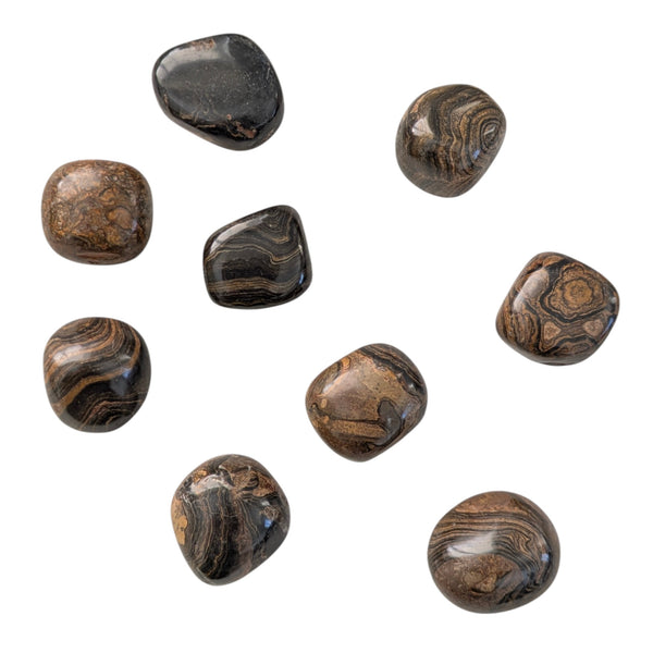Stromatolite Crystal Tumblestone - Stone of Transformation - New Beginnings