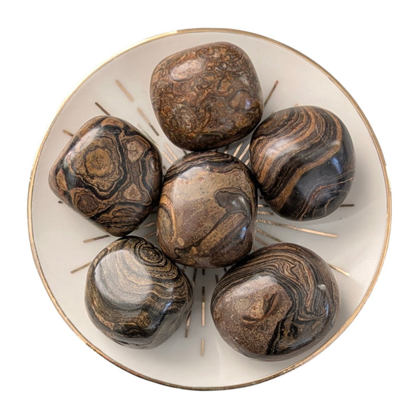 Stromatolite Crystal Tumblestone - Stone of Transformation - New Beginnings