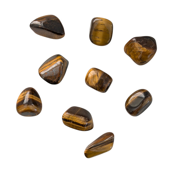 Tigers Eye Crystal Tumblestone - Spiritual Compass Gemstone - Stone for Gemini