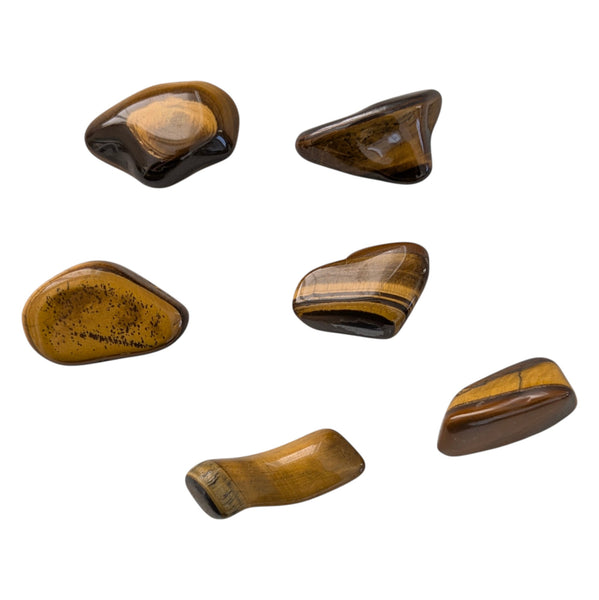 Tigers Eye Crystal Tumblestone - Spiritual Compass Gemstone - Stone for Gemini
