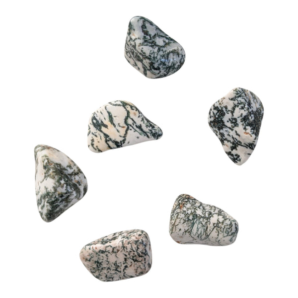 Tree Agate Tumblestone