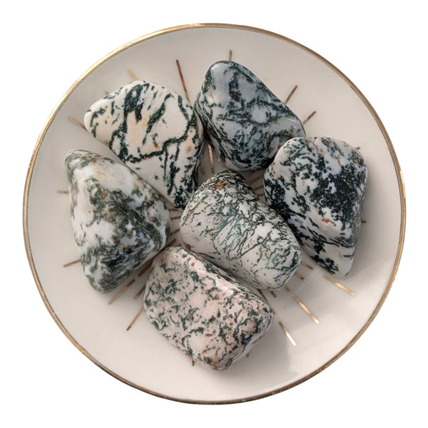 Tree Agate Tumblestone