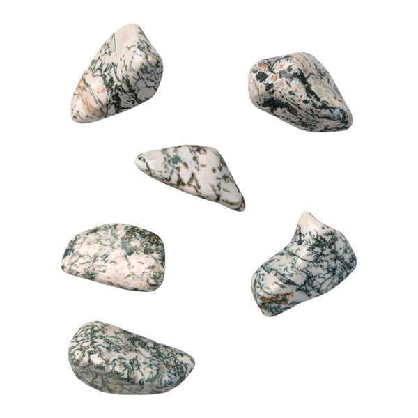 Tree Agate Tumblestone
