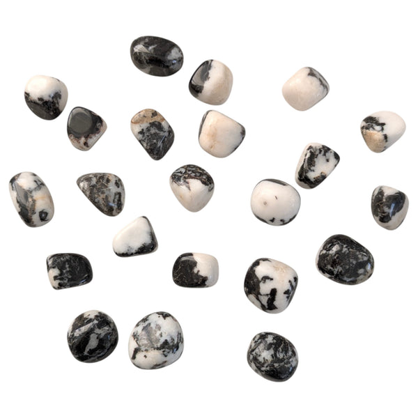 Zebra Agate Crystal Tumblestone - Monochrome Gemstones - Yin & Yang Energies