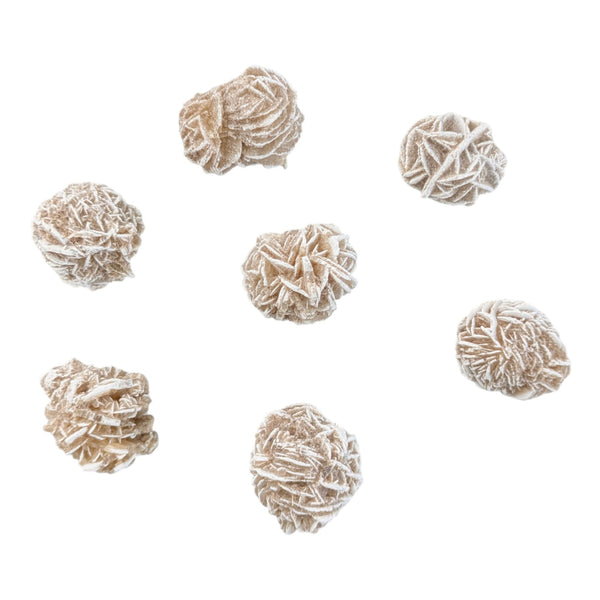 Desert Rose Specimen (Mini)