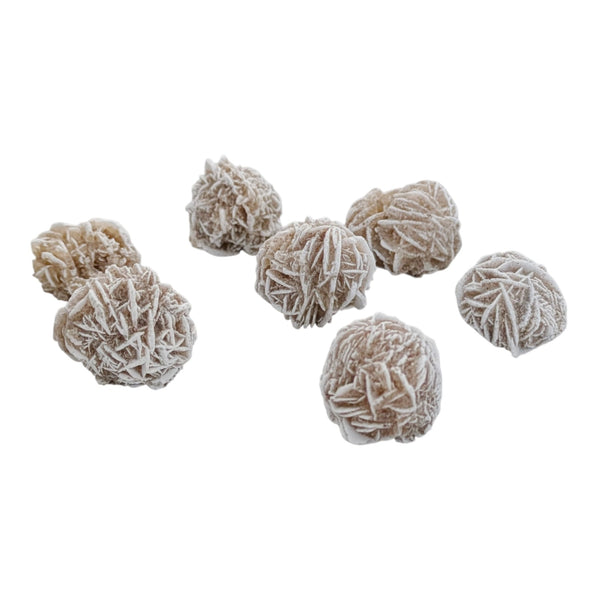 Desert Rose Specimen (Mini)