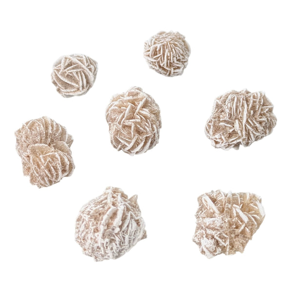 Desert Rose Specimen (Mini)