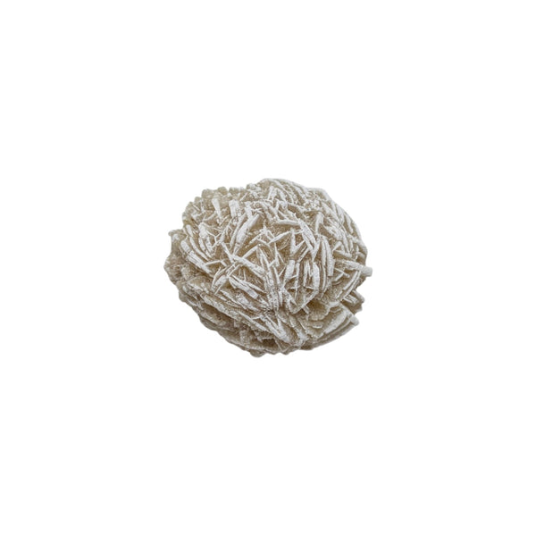 Desert Rose Specimen (Sm)