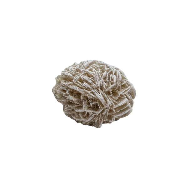 Desert Rose Specimen (Sm)