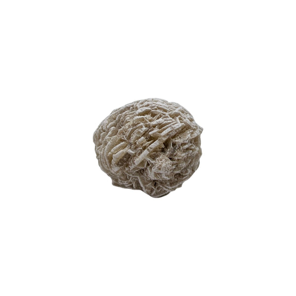 Desert Rose Specimen (Sm)