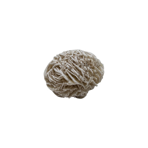 Desert Rose Specimen (Sm)