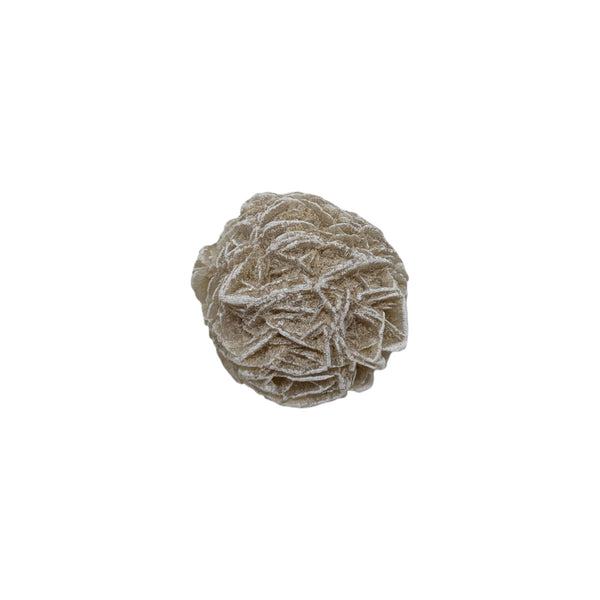 Desert Rose Specimen (Sm)