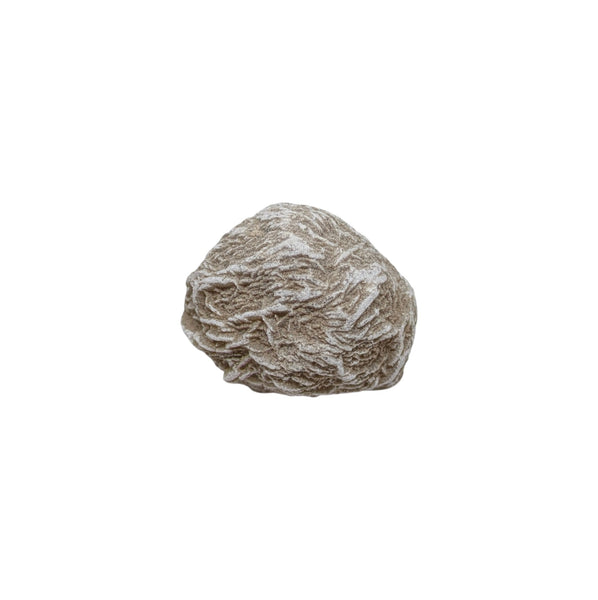 Desert Rose Specimen (Sm)