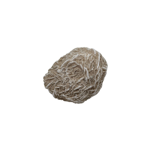 Desert Rose Specimen (Sm)
