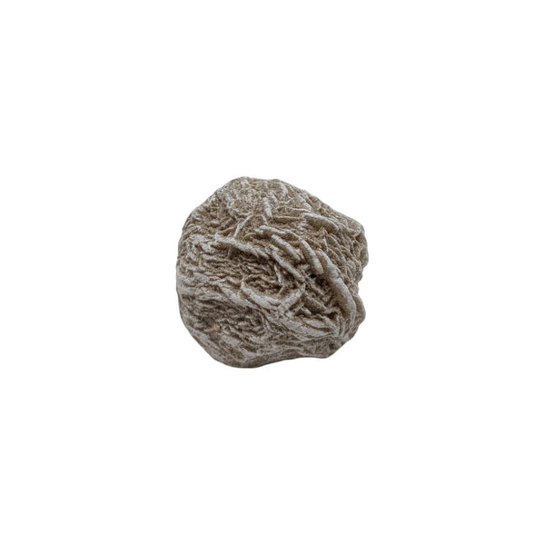 Desert Rose Specimen (Sm)