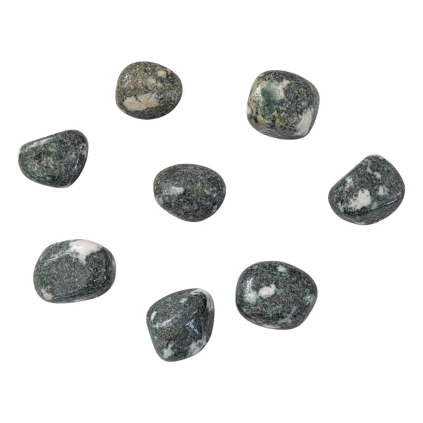 Preseli Bluestone Tumblestone - Preseli Spotted Dolerite - A Transformative Gemstone from Wales