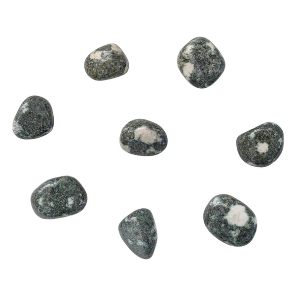 Preseli Bluestone Tumblestone - Preseli Spotted Dolerite - A Transformative Gemstone from Wales