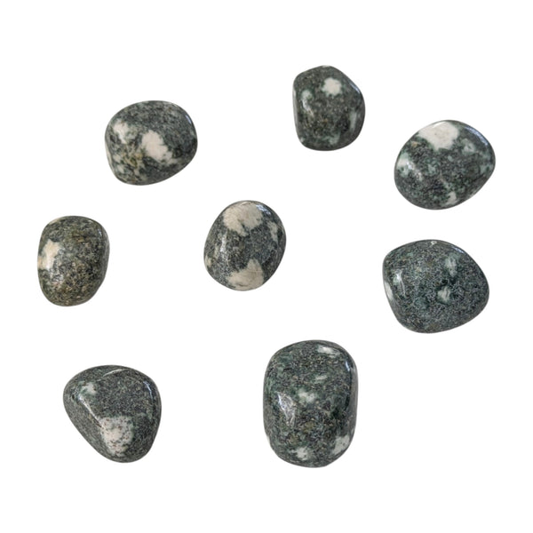 Preseli Bluestone Tumblestone - Preseli Spotted Dolerite - A Transformative Gemstone from Wales