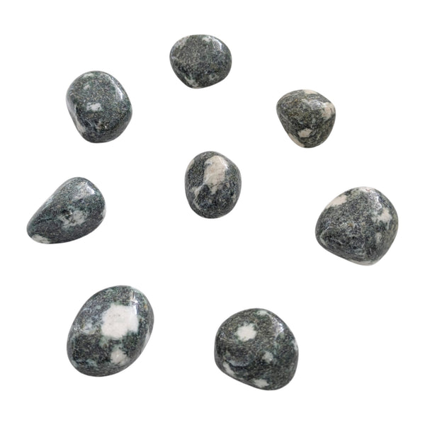 Preseli Bluestone Tumblestone - Preseli Spotted Dolerite - A Transformative Gemstone from Wales