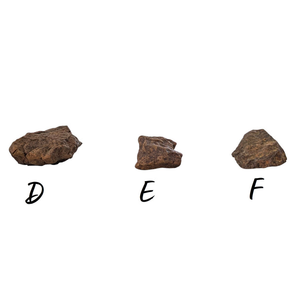 Northwest Stony Iron Meteorites - P.Y.O