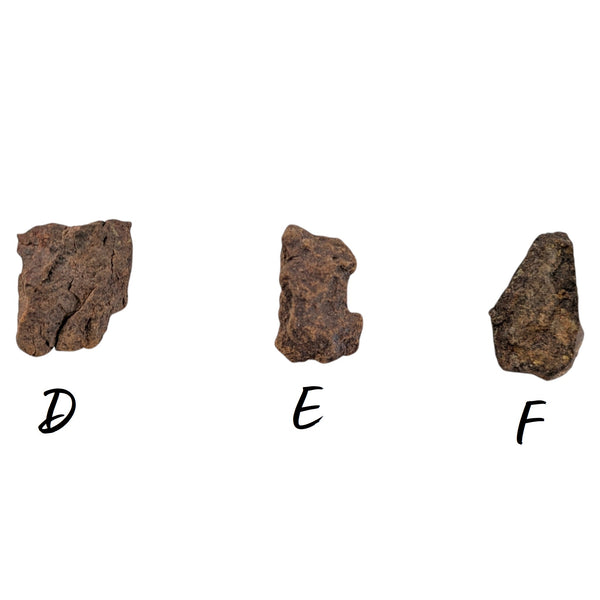 Northwest Stony Iron Meteorites - P.Y.O