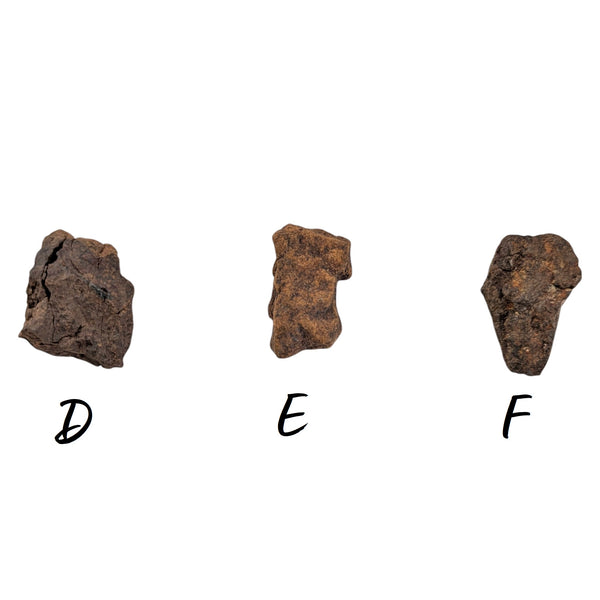 Northwest Stony Iron Meteorites - P.Y.O