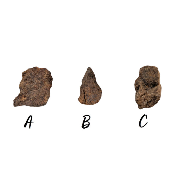 Northwest Stony Iron Meteorites - P.Y.O