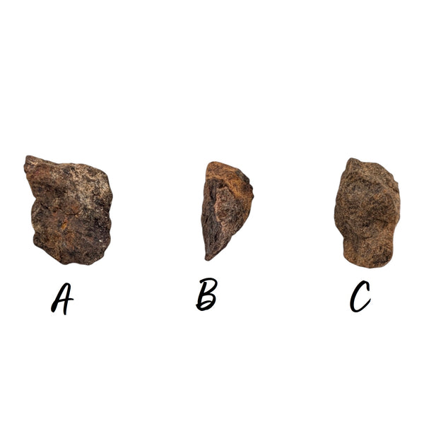 Northwest Stony Iron Meteorites - P.Y.O