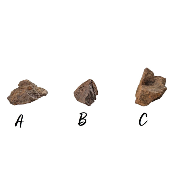 Northwest Stony Iron Meteorites - P.Y.O