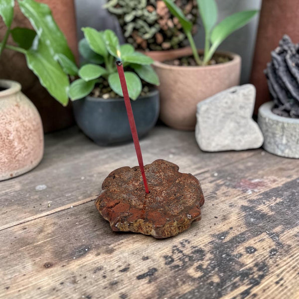 Petrified Wood Slab Incense Holder - Sold As Seen - Peace & Tranquility - New Home Gift