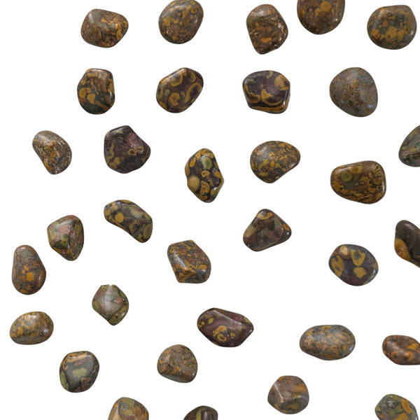 Ajooba Jasper Tumblestone
