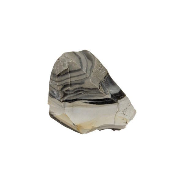 Flint (Banded) Specimen (Poland)