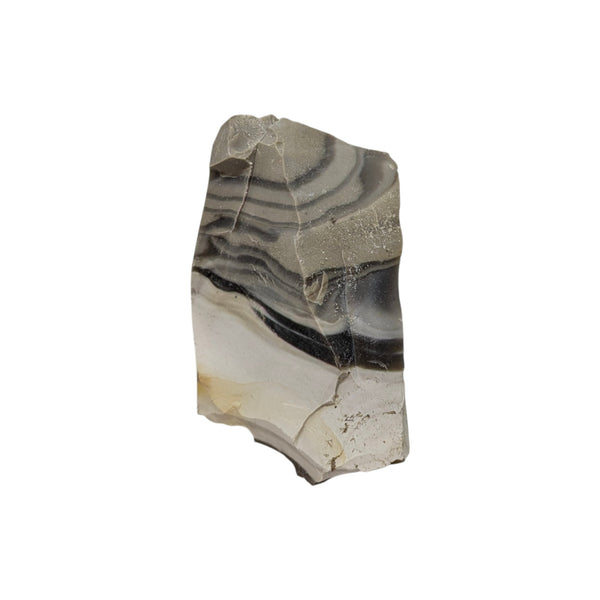 Flint (Banded) Specimen (Poland)