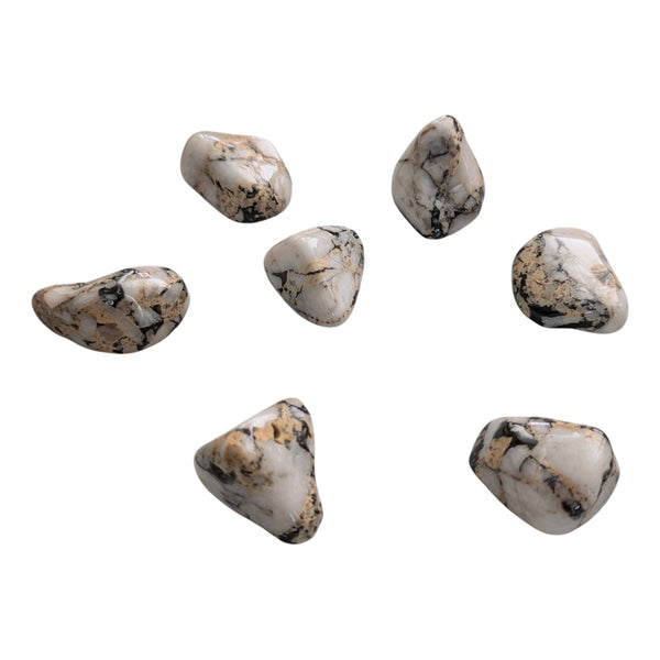 Cassiterite Tumblestone