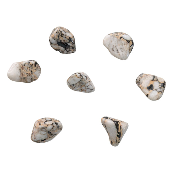 Cassiterite Tumblestone