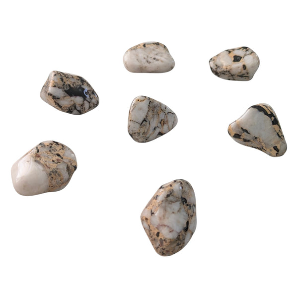 Cassiterite Tumblestone