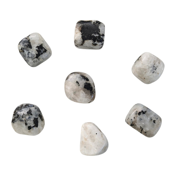 Rainbow Moonstone Crystal Tumblestone - White Labradorite - Balance & Harmony Gemstone