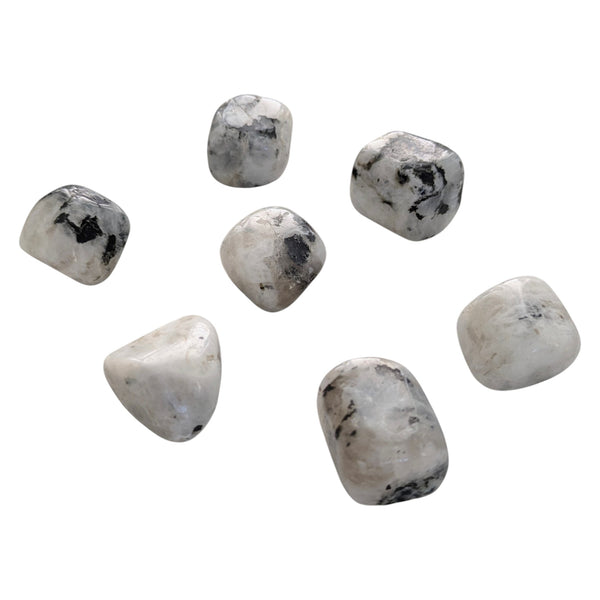 Rainbow Moonstone Crystal Tumblestone - White Labradorite - Balance & Harmony Gemstone
