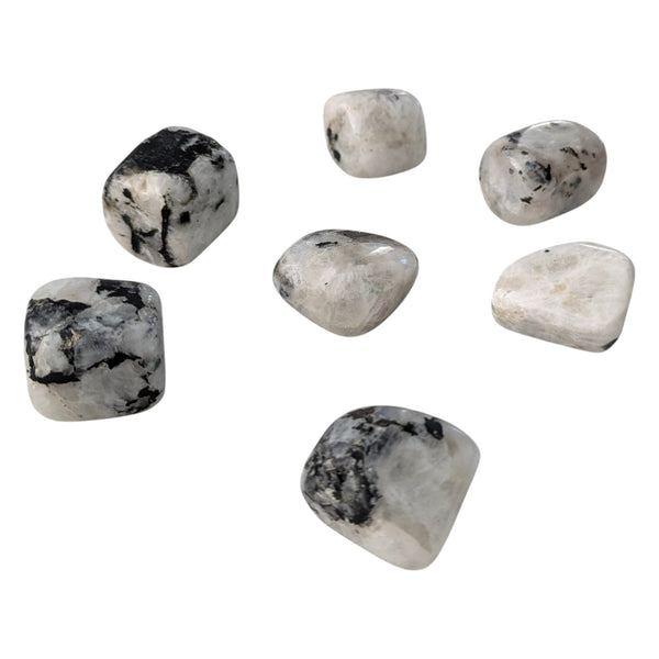 Rainbow Moonstone Crystal Tumblestone - White Labradorite - Balance & Harmony Gemstone