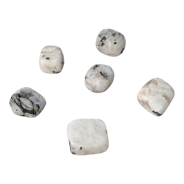 Rainbow Moonstone Crystal Tumblestone - White Labradorite - Balance & Harmony Gemstone