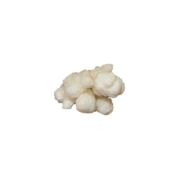Cave Aragonite Specimen