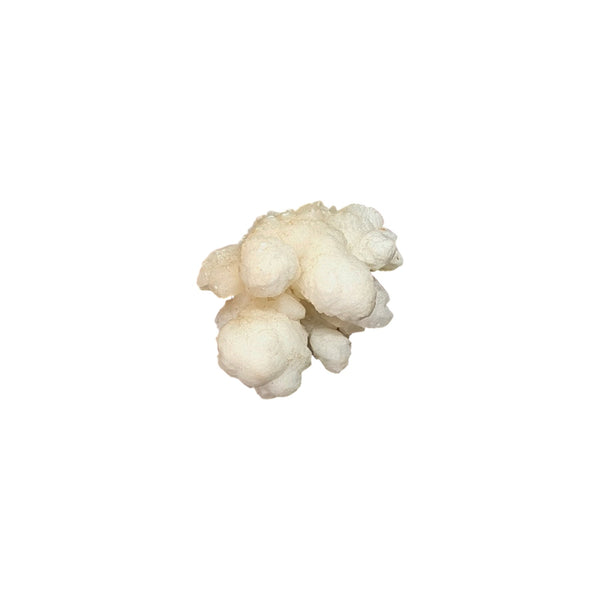 Cave Aragonite Specimen