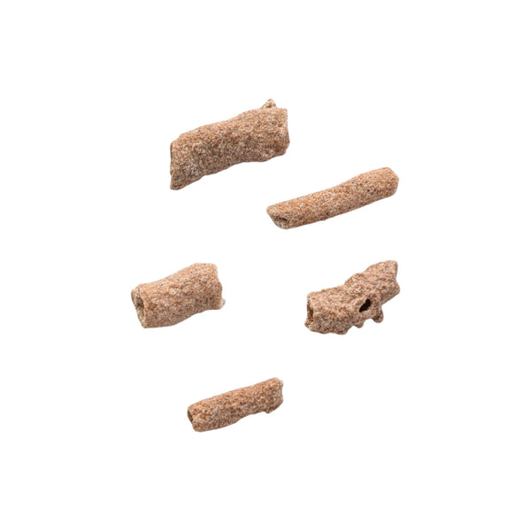 Fulgurites (Lightning Stones) Set of 5